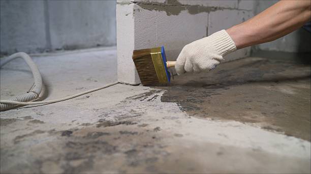 SJ Waterproofing Pros Waterproofing coverage map for Charleston, SC and surrounding area